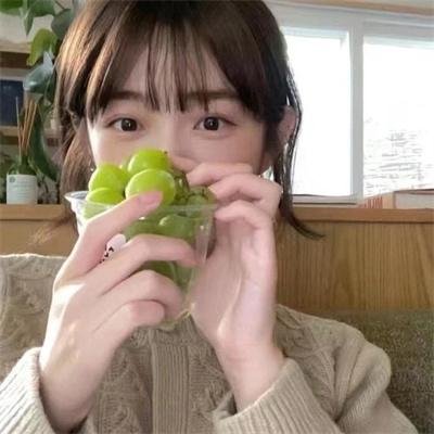 阴山守陵人